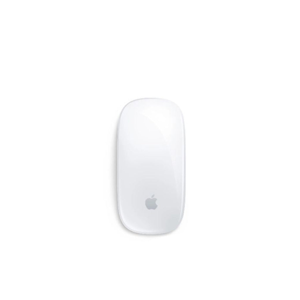 Magic Mouse-Multi-Touch Surface